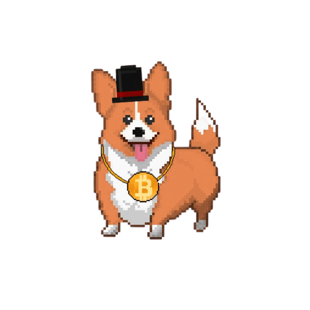 Borgi - Pixel Corgi with a Bitcoin hat